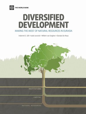 cover image of Diversified Development